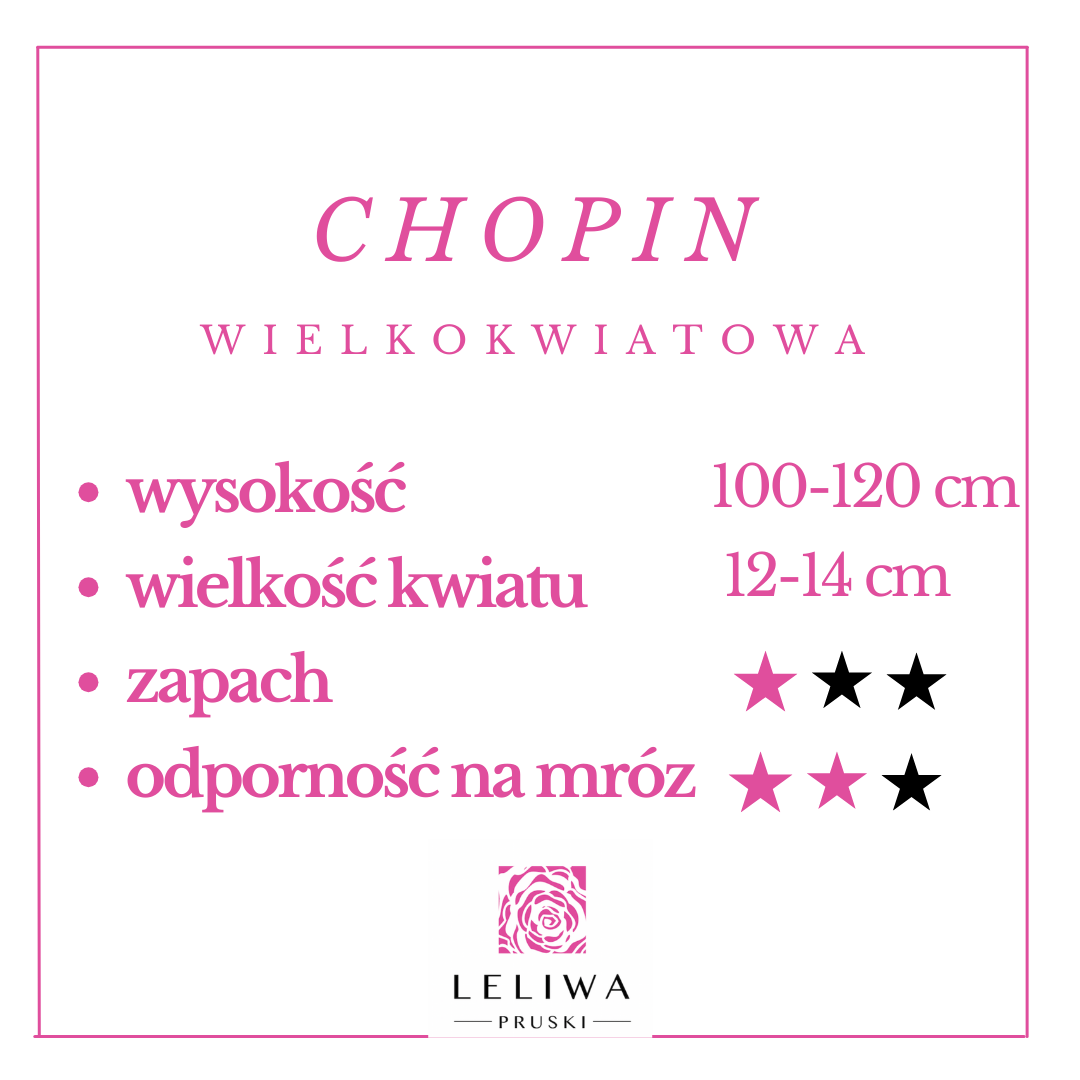 chopin.png