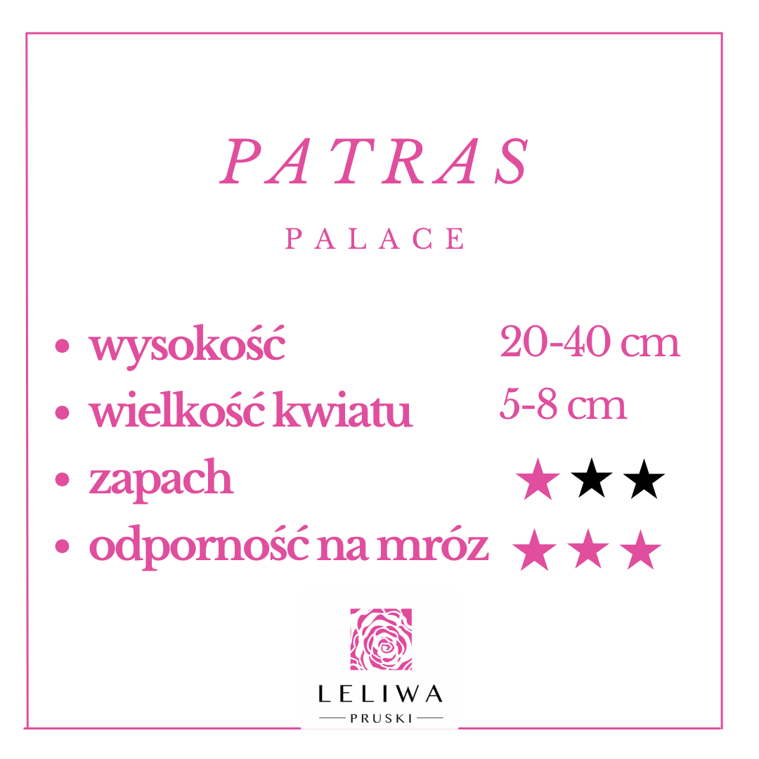 patras.png