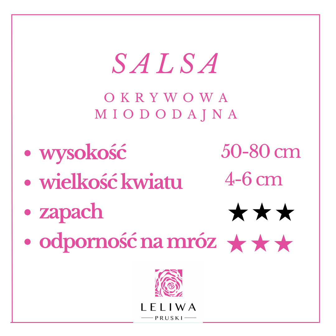 salsa.png